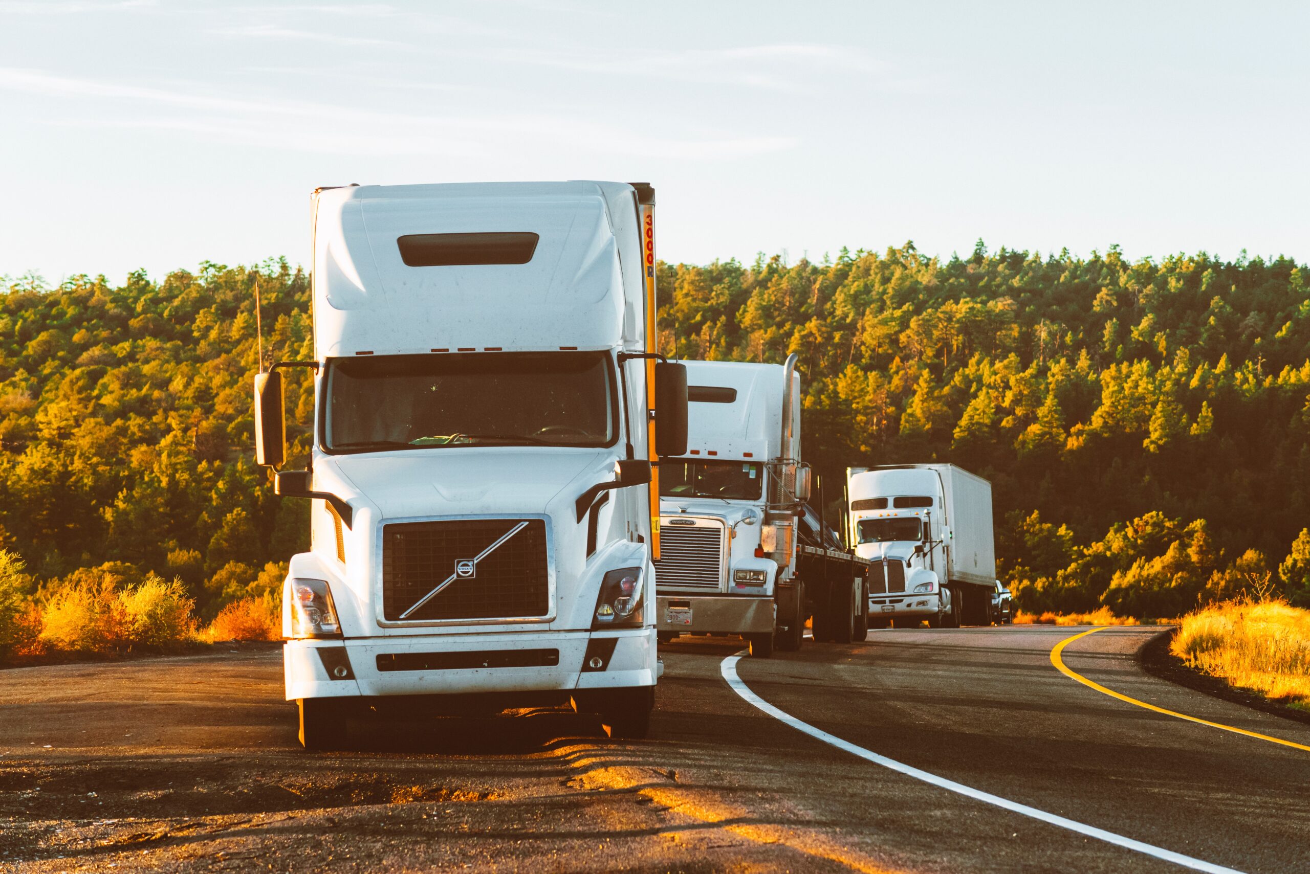 Three white semi-trailer trucks are parked on the side of a road in a line. The scene is set in a rural area with green trees and hills in the background. The road curves gently to the right. The sky is clear and the lighting suggests it is either early morning or late evening.