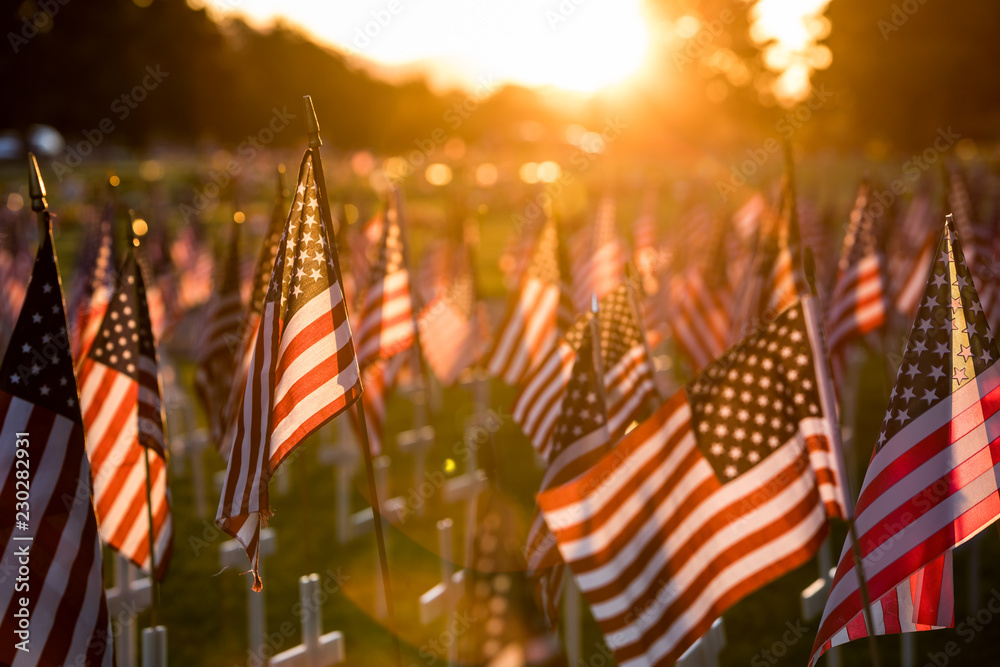 American flags graves Memorial Day