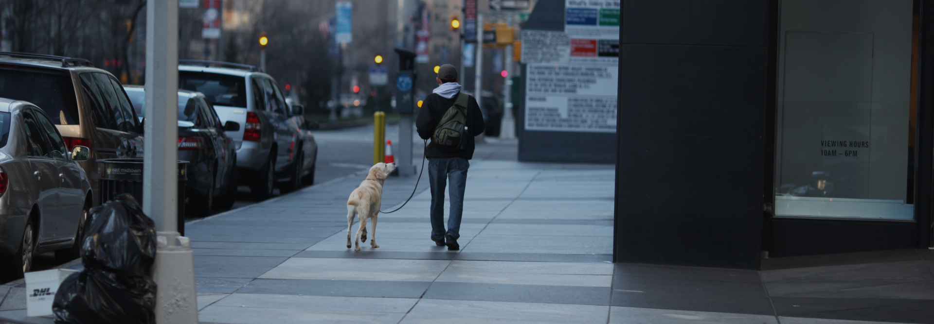 A person in a hoodie and backpack walks a yellow Labrador dog on a leash along a city sidewalk. Cars are parked along the curb, and buildings rise in the background, casting long shadows typical of early morning or late afternoon. The scene subtly reminds one of the bustling areas where vehicle accident attorneys practice.